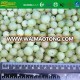 IQF frozen gooseberry fruit