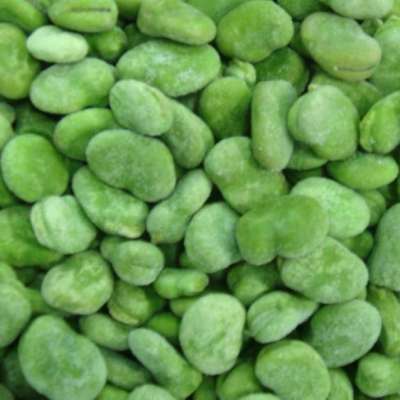 Frozen Broad Bean  with the new season 2019