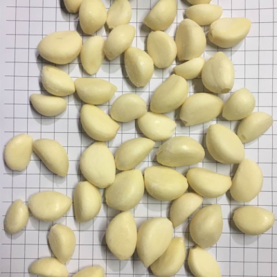 New HACCP IQF Frozen Garlic Cloves