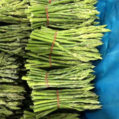 New season Frozen  Asparagus