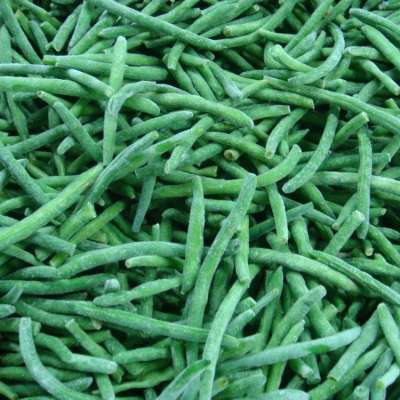 Frozen Green Bean whole and cut with the best of price